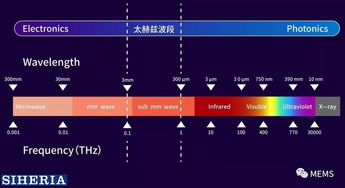 矽赫科技 以太赫茲底層技術為基，開拓智能光電新藍海